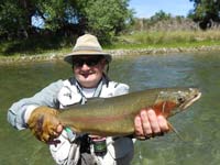 Fine Mackenzie Country rainbow trout