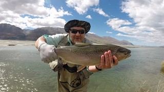Fly fishing trout in beautiful New Zealand