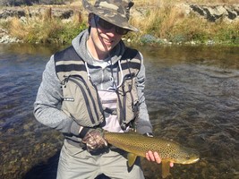 Large back country brown trout
