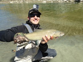 Large back country brown trout