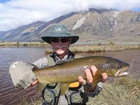 A pretty spotted brown trout