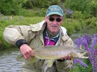A typical South Island Brown Trout caught in the rivers of New Zealand.