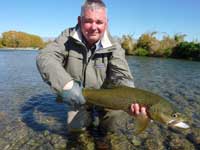 Tekapo Brown Trout in good condition despite the presence of didymo.