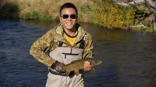 Nice brown trout in New Zealand