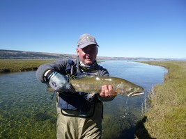 Fly fishing trout in beautiful New Zealand