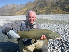 Fly fishing trout in beautiful New Zealand