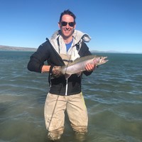 Fly fishing trout in beautiful New Zealand