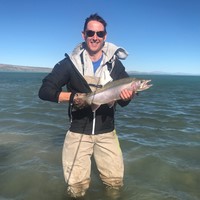 Fly fishing trout in beautiful New Zealand