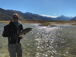 Fly fishing trout in beautiful New Zealand