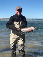 Fly fishing trout in beautiful New Zealand