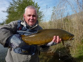 Fly fishing trout in beautiful New Zealand