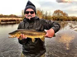 Trout hooked by anglers fly fishing in the lakes and rivers at the foot of the Southern Alps in New Zealand.