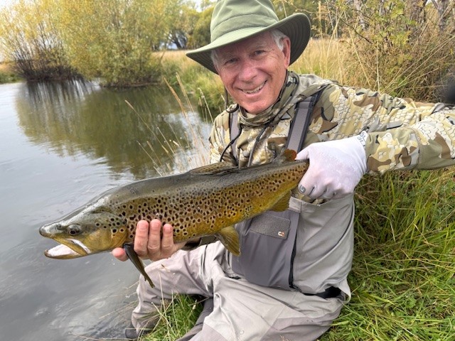 A fine spring creek resident brownie.