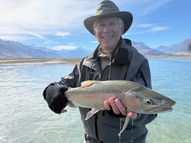 Trout hooked by anglers fly fishing in the lakes and rivers at the foot of the Southern Alps in New Zealand.
