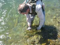 River fishing in New Zealand.