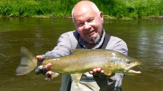 Fly fishing trout in beautiful New Zealand