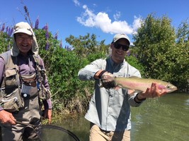 Fly fishing trout in beautiful New Zealand