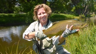 Fly fishing trout in beautiful New Zealand