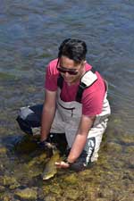 Fly fishing trout in beautiful New Zealand