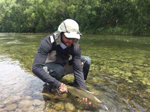 Fly fishing trout in beautiful New Zealand