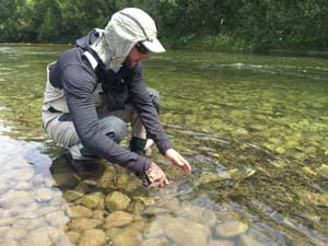 The trout is ready to go home!