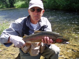 Fly fishing trout in beautiful New Zealand