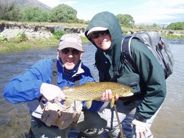 Fly fishing trout in beautiful New Zealand