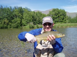 Fly fishing trout in beautiful New Zealand