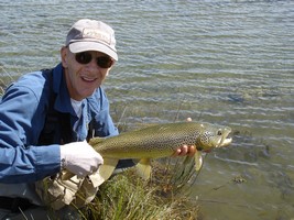 Fly fishing trout in beautiful New Zealand
