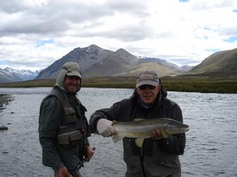 Fly fishing trout in beautiful New Zealand