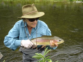 Fly fishing trout in beautiful New Zealand