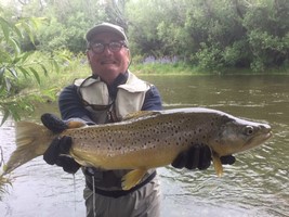 Fly fishing trout in beautiful New Zealand