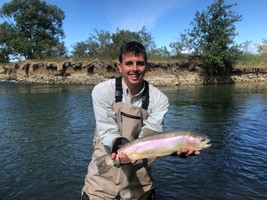 Fly fishing trout in beautiful New Zealand