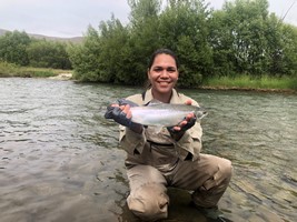 Fly fishing trout in beautiful New Zealand