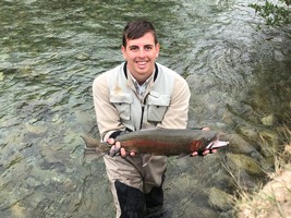 Fly fishing trout in beautiful New Zealand