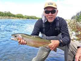 Fly fishing trout in beautiful New Zealand