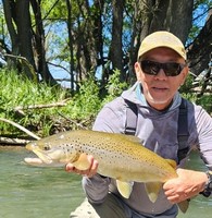 Fly fishing trout in beautiful New Zealand