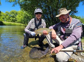 Fly fishing trout in beautiful New Zealand