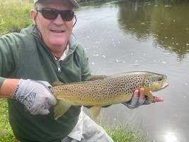 Fly fishing trout in beautiful New Zealand