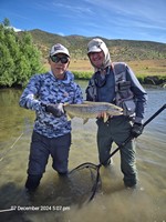 Fly fishing trout in beautiful New Zealand