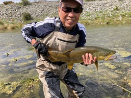 Trout hooked by anglers fly fishing in the lakes and rivers at the foot of the Southern Alps in New Zealand.