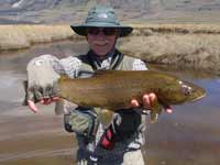 Another fine fish on a beautiful windless day.