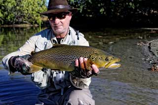 Large back country brown trout