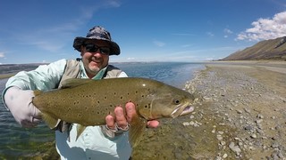 Fly fishing trout in beautiful New Zealand