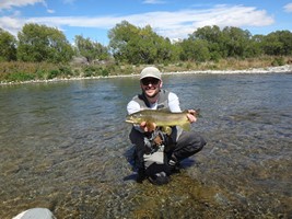 Fly fishing trout in beautiful New Zealand