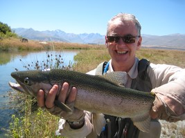 Fly fishing trout in beautiful New Zealand