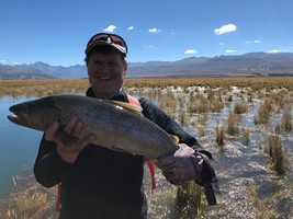 Fly fishing trout in beautiful New Zealand