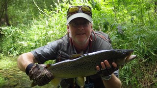 Fly fishing trout in beautiful New Zealand