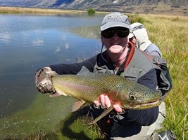 Fly fishing trout in beautiful New Zealand