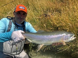 Fly fishing trout in beautiful New Zealand